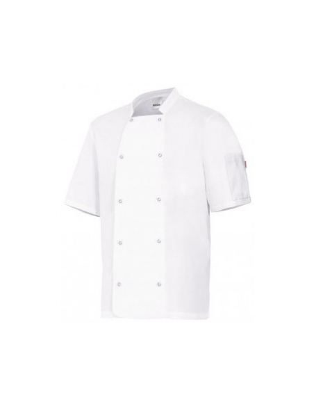 CHAQUETA COCINERO MANGA CORTA MOD 405205