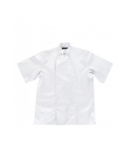 CHAQUETA COCINERO BÁSICA MANGA CORTA MOD B9001